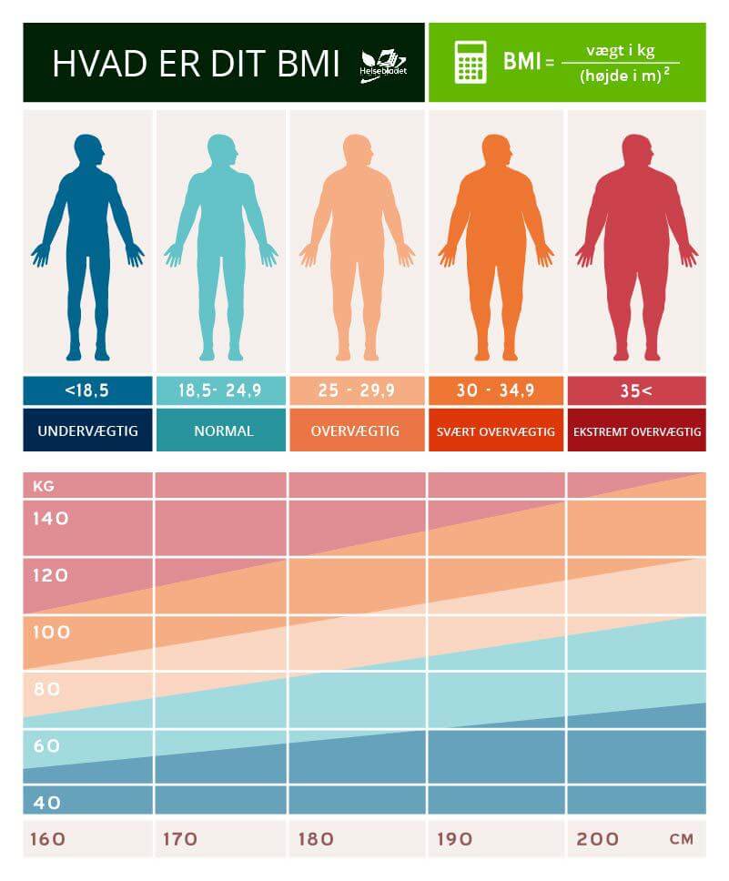 BMI diagrammer med infografik til mænd og kvinder - beregn bmi helsebladet