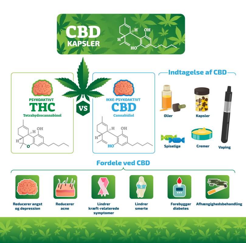 CBD Kapsler infografik