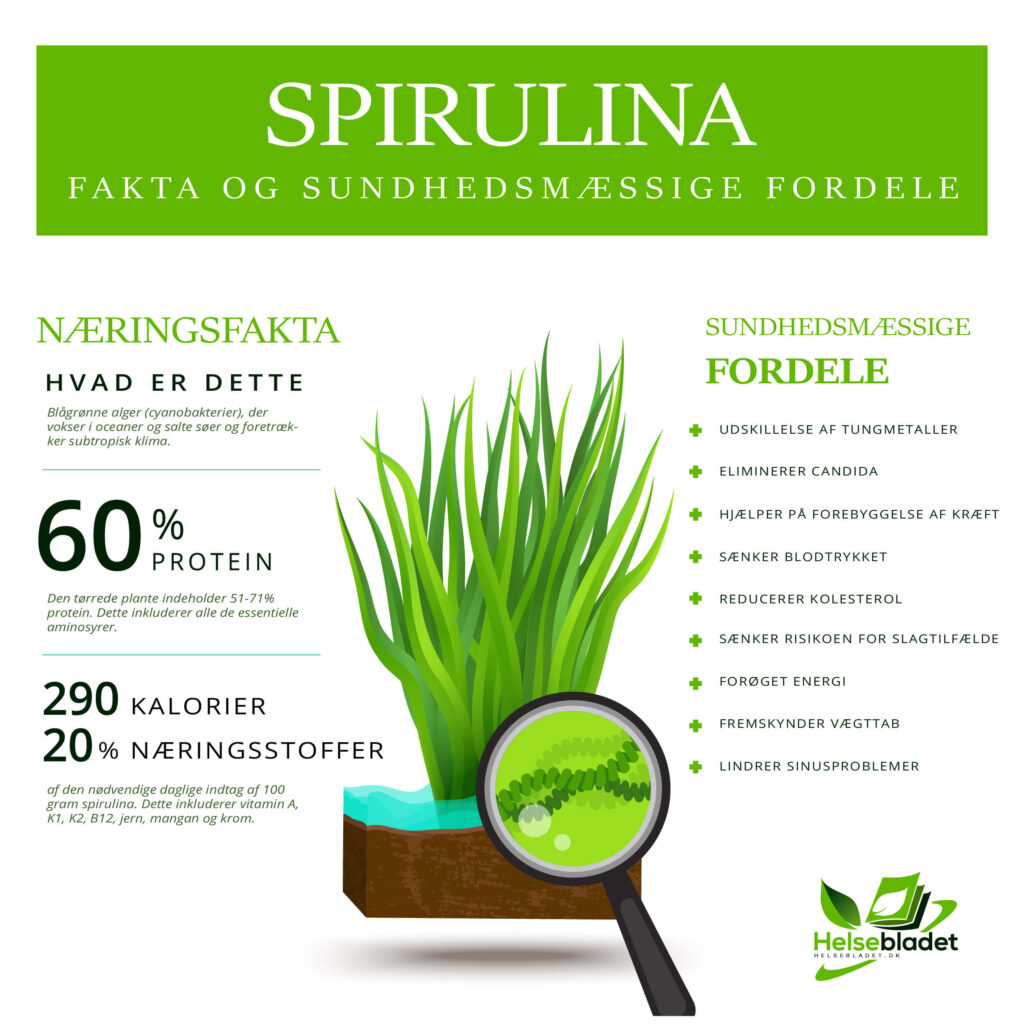 Spirulina: Fakta og sundhedsmæssige fordele