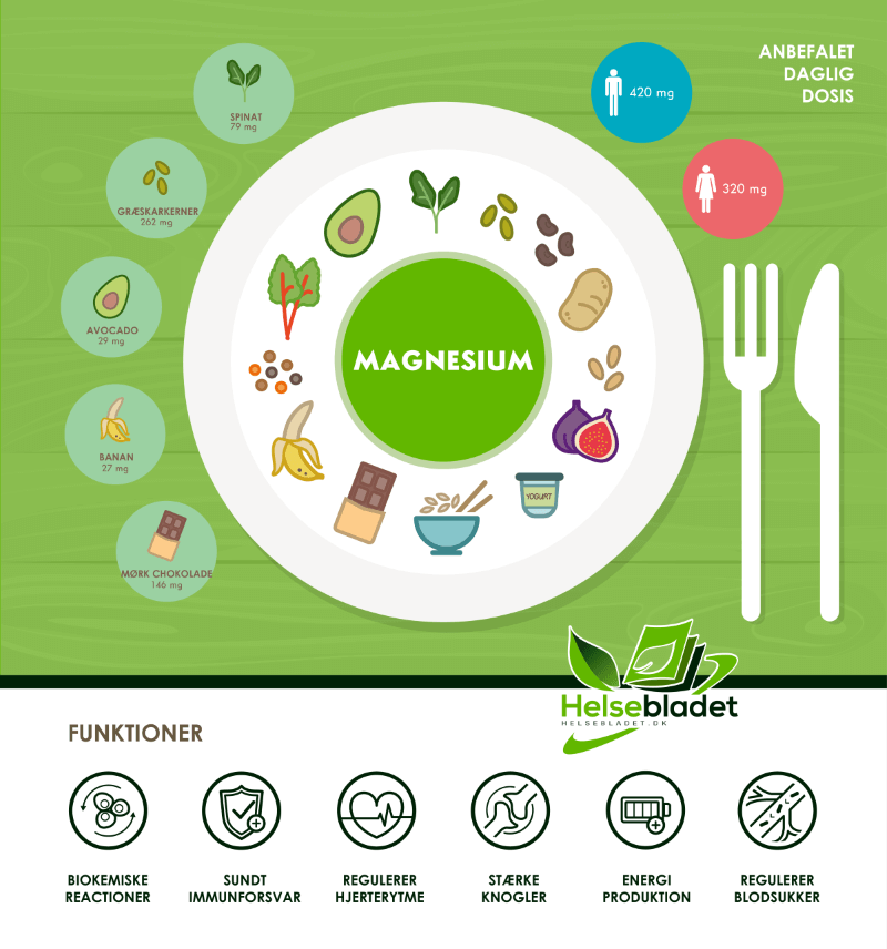 magnesium tilskud infografik